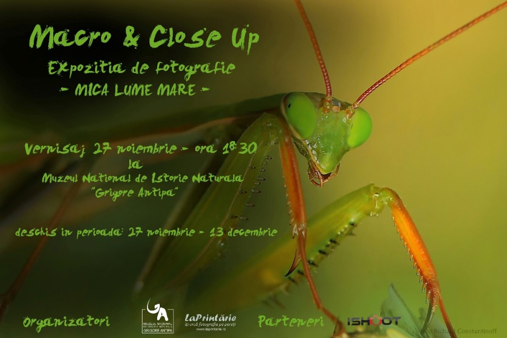 Expozitia de fotografie macro & close-up „Mica lume mare” 